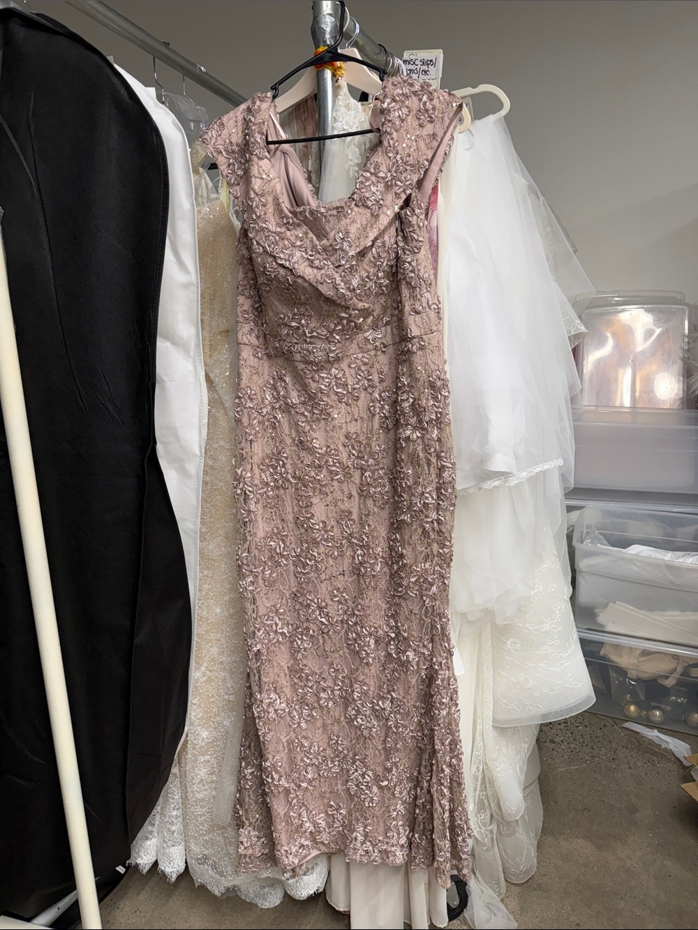 Xscape Mauve Lace Embellished Maxi Dress